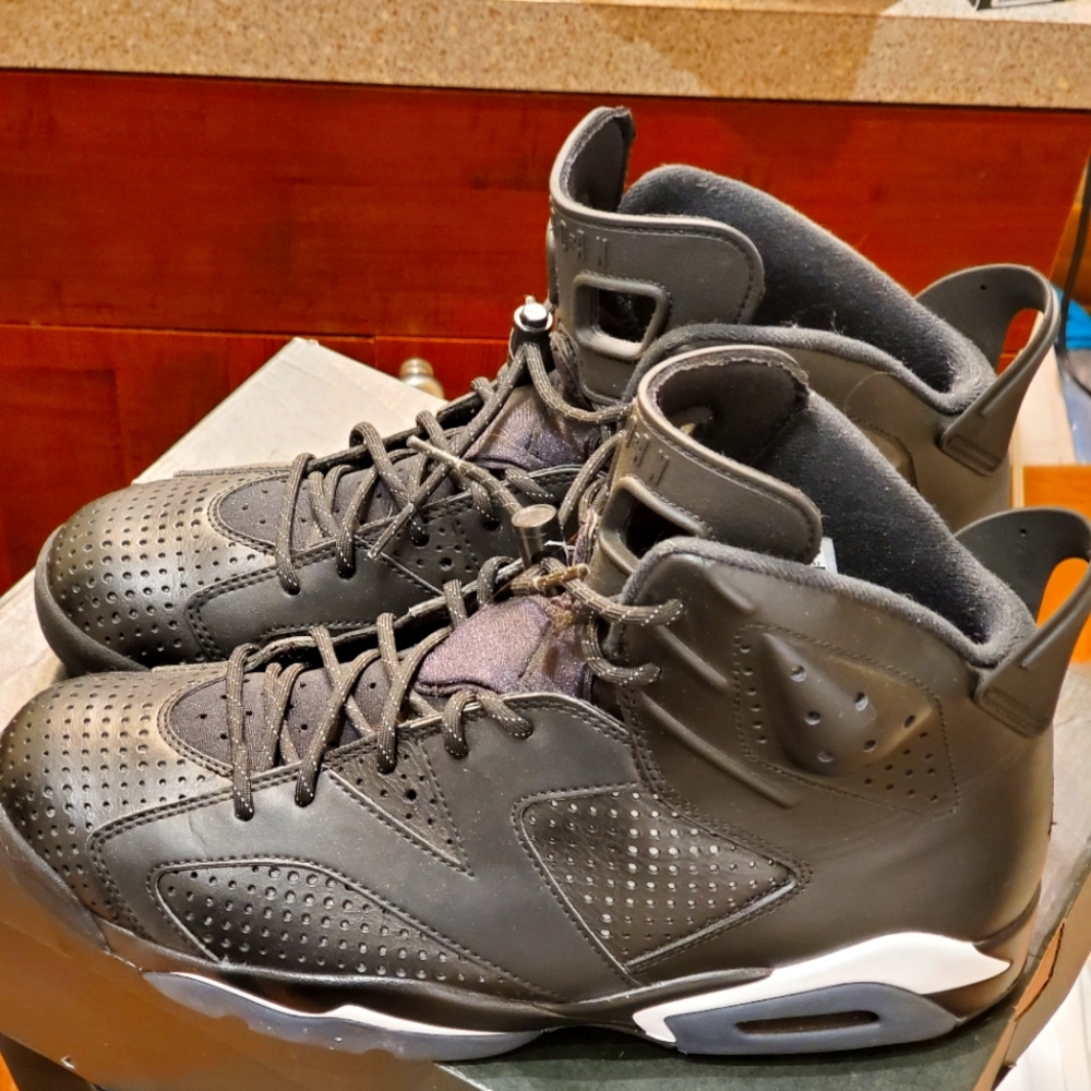 Jordan retro 6